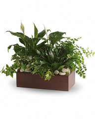Standard